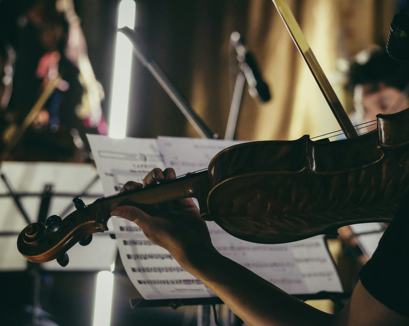 A violinist playing in warm light